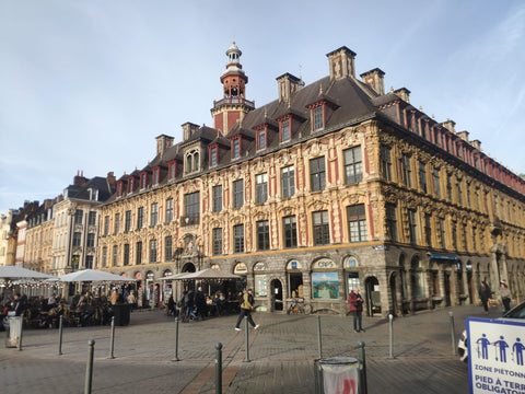 Exploring Lille and Nice: A Quick Business Trip with Memorable Stops